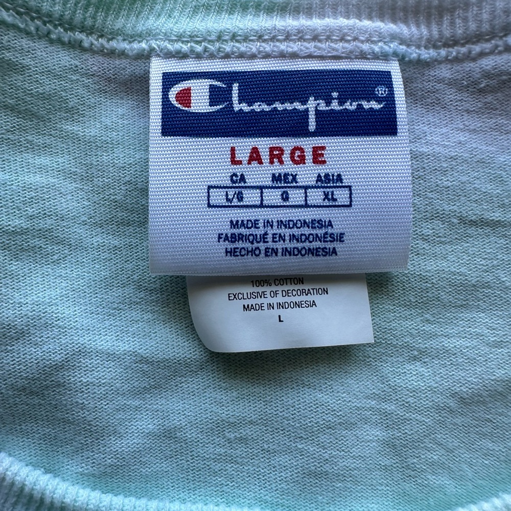Champion Men's Short Sleeve Tie-Dye Tee - Blue and Green - Picture 5 of 6